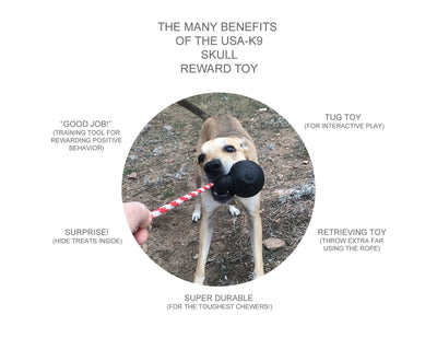 Cherry Bomb Chew & Reward Toy