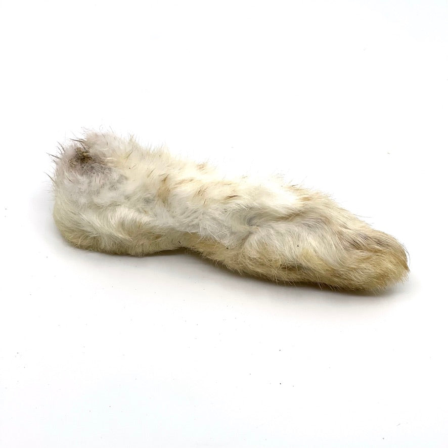 Dehydrated Rabbit Feet