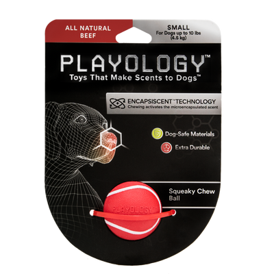 PLAYOLOGY Squeaky Ball Beef Scented Little Chief Co