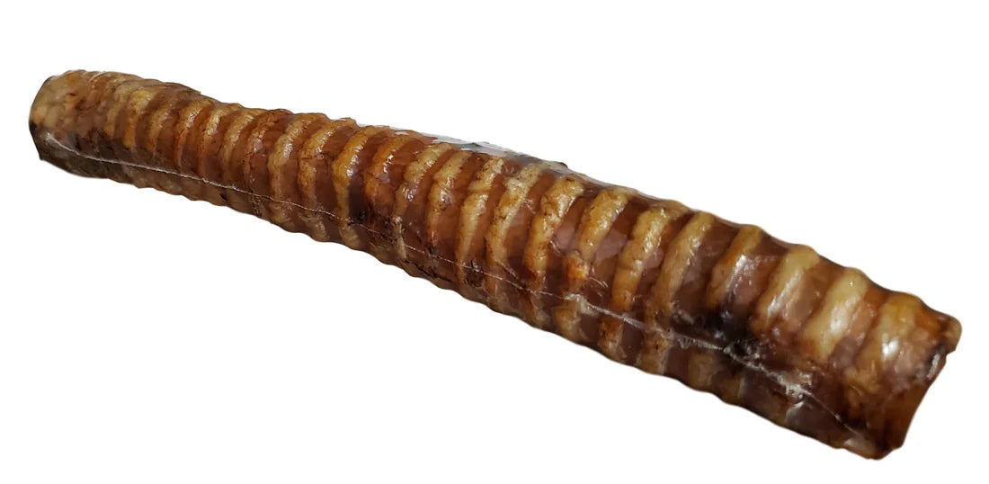 Veal Trachea