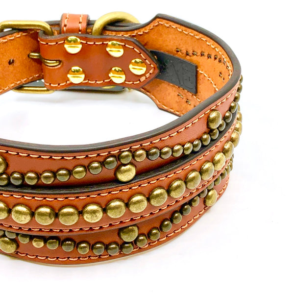 Crazy discount dog collars