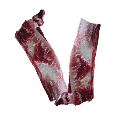 Short rib online bones for dogs