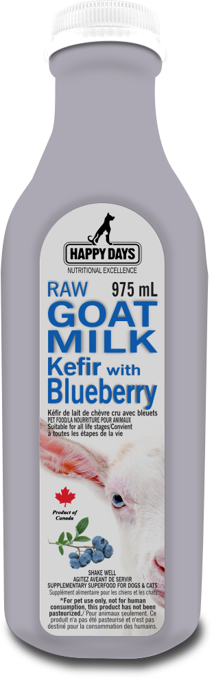 Raw Goats Kefir with Blueberry