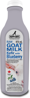 Raw Goats Kefir with Blueberry