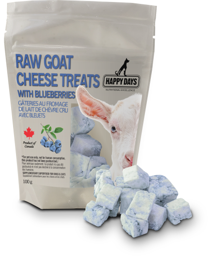Raw Goats Cheese Treats with Blueberry