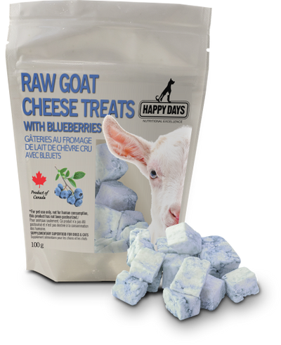 Raw Goats Cheese Treats with Blueberry