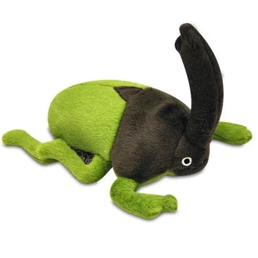 Ryan the Rhino Beetle