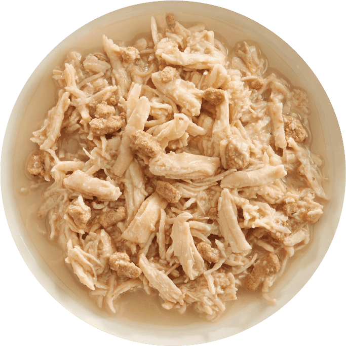 Cooked chicken sales cat food recipe