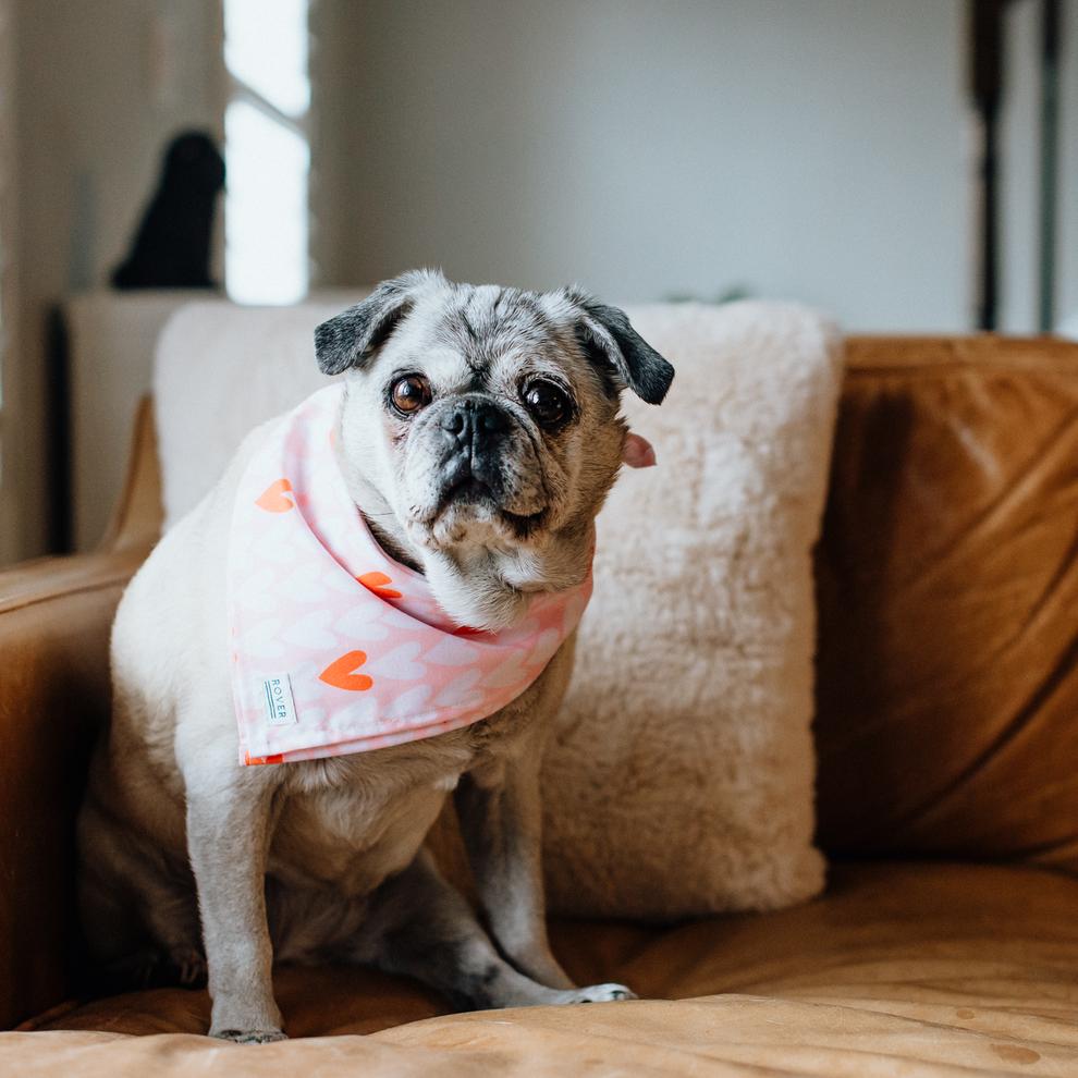 True Love Bandana