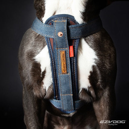 Friday Collective Denim Chest Plate Harness