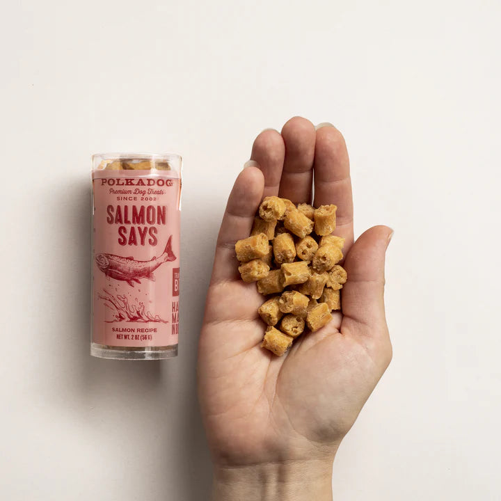 Salmon Says Training Bits *FINAL SALE*