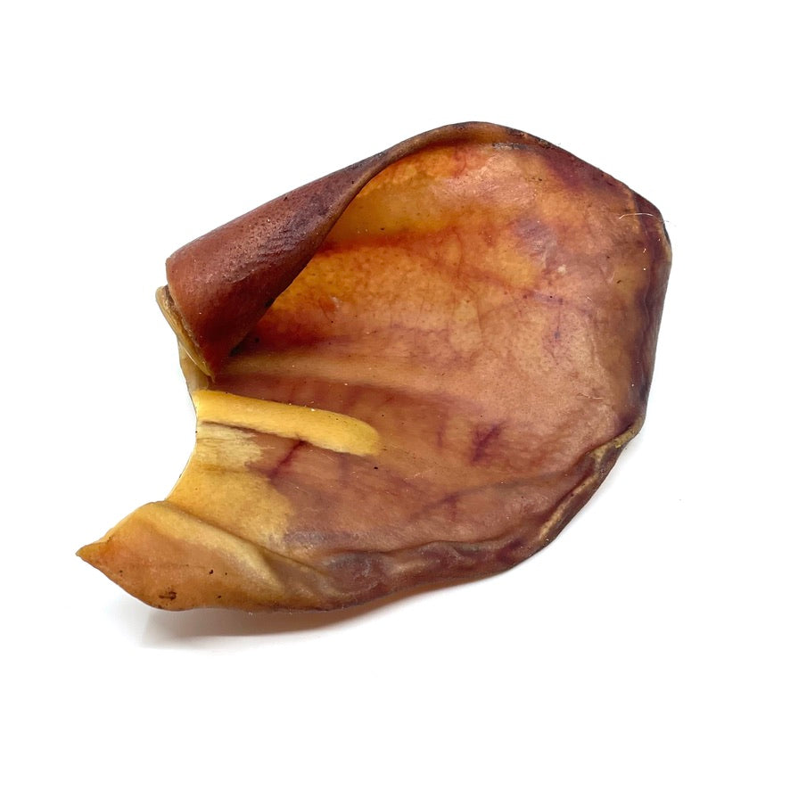 Pig Ear