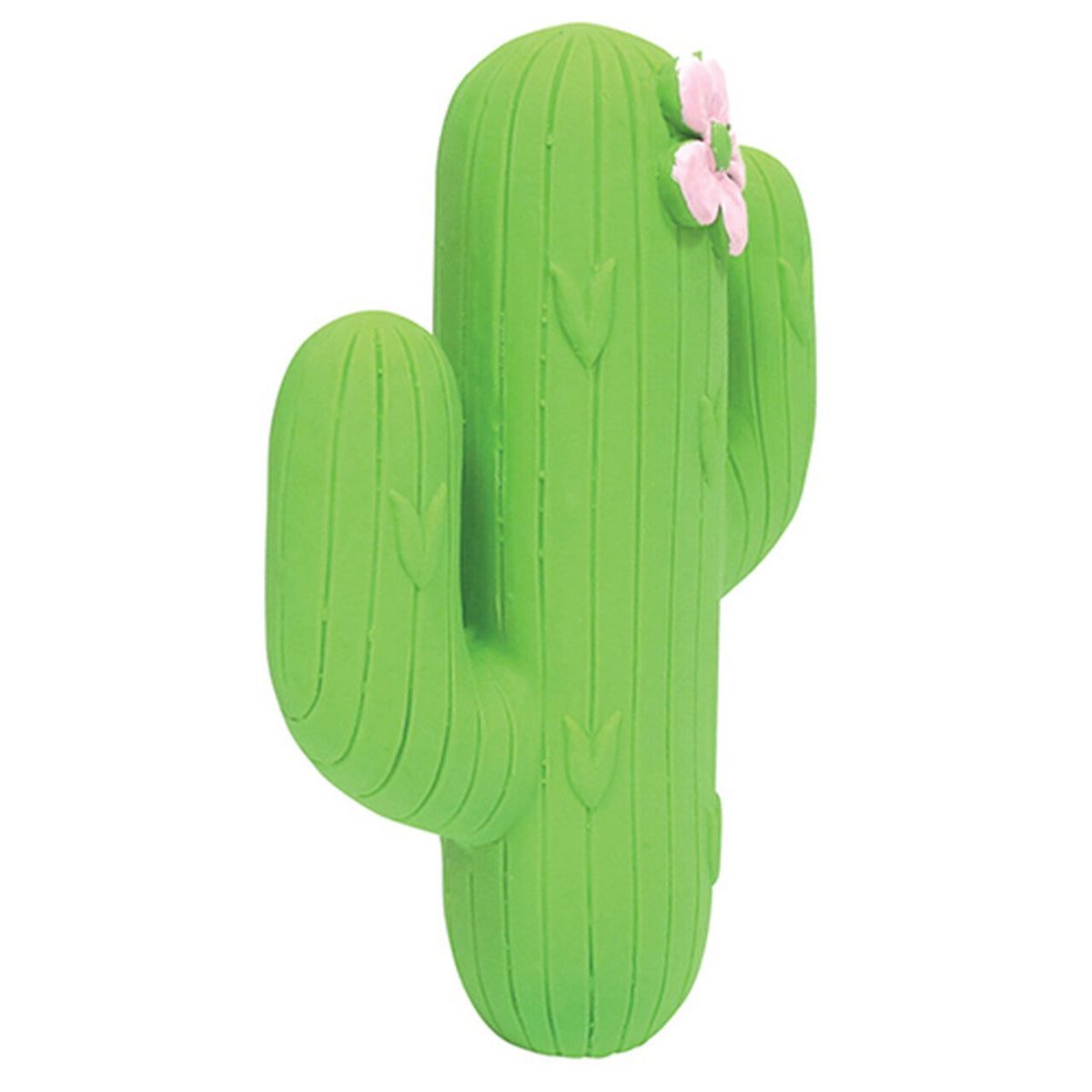 Cactus Chew Toy