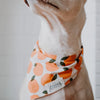 Fresh Picked Bandana