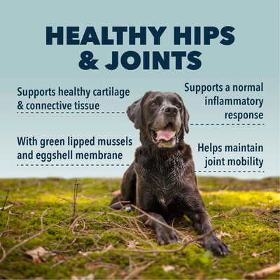 Hip & Joint - Natural Joint Supplement