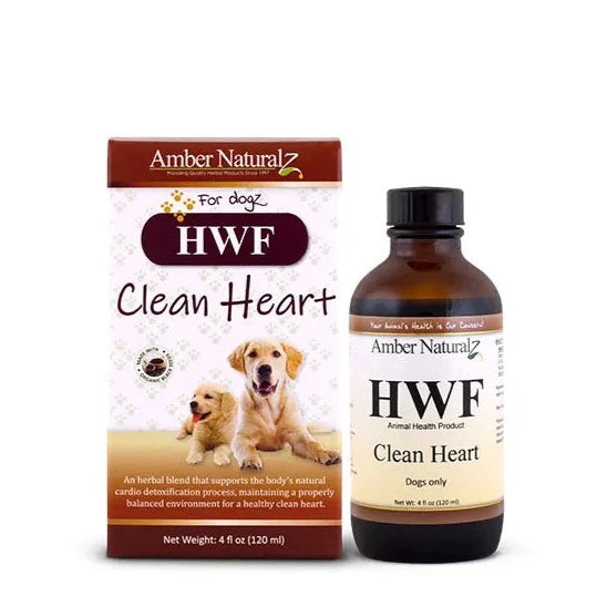 Amber Naturalz HWF Little Chief Co