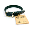 Leather Collar - 3/4" width