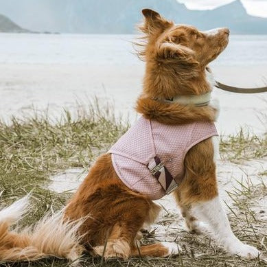 Cooling Wrap in Carnation