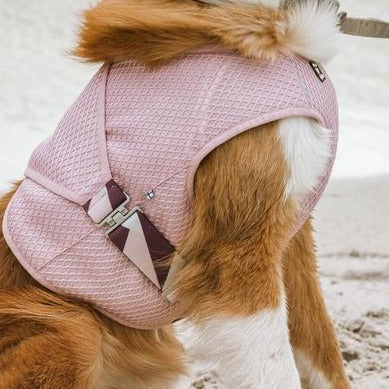 Cooling Wrap in Carnation