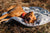 Outback Dreamer ECO Sleeping Bag