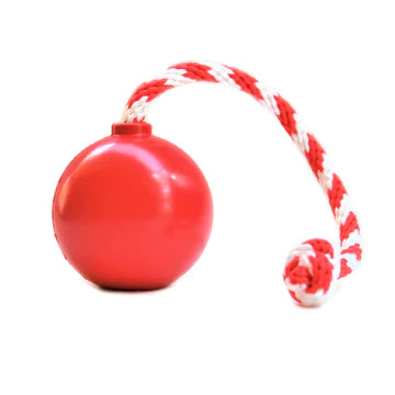 Cherry Bomb Chew & Reward Toy
