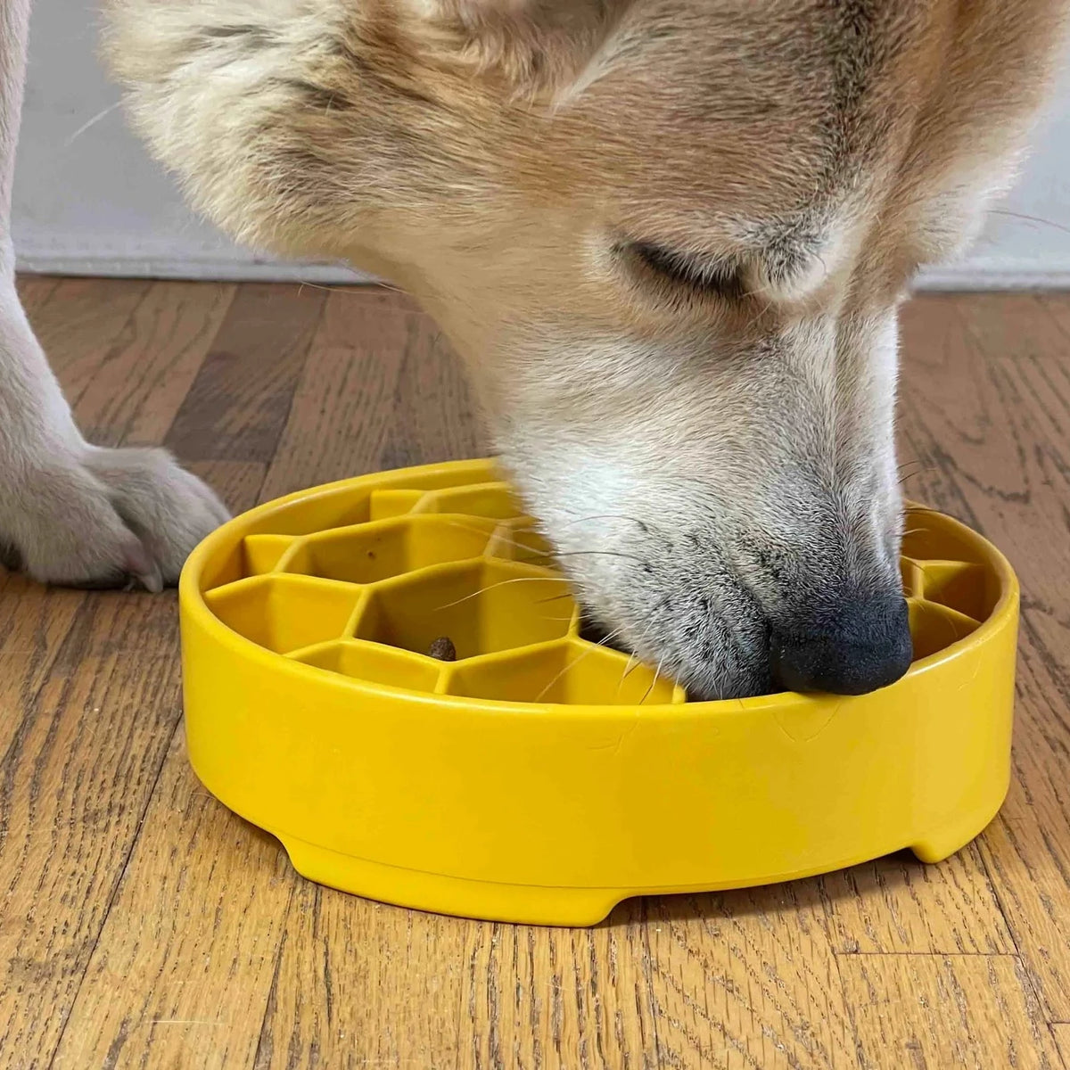 Honeycomb Design EBowl Enrichment Slow Feeder