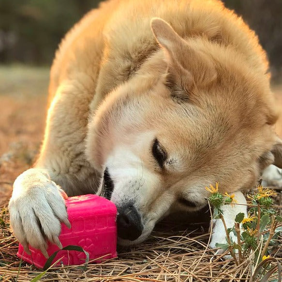 Retro Van Durable Chew & Treat Dispenser