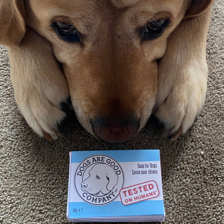 Clean & Shiny Bar Soap *FINAL SALE*