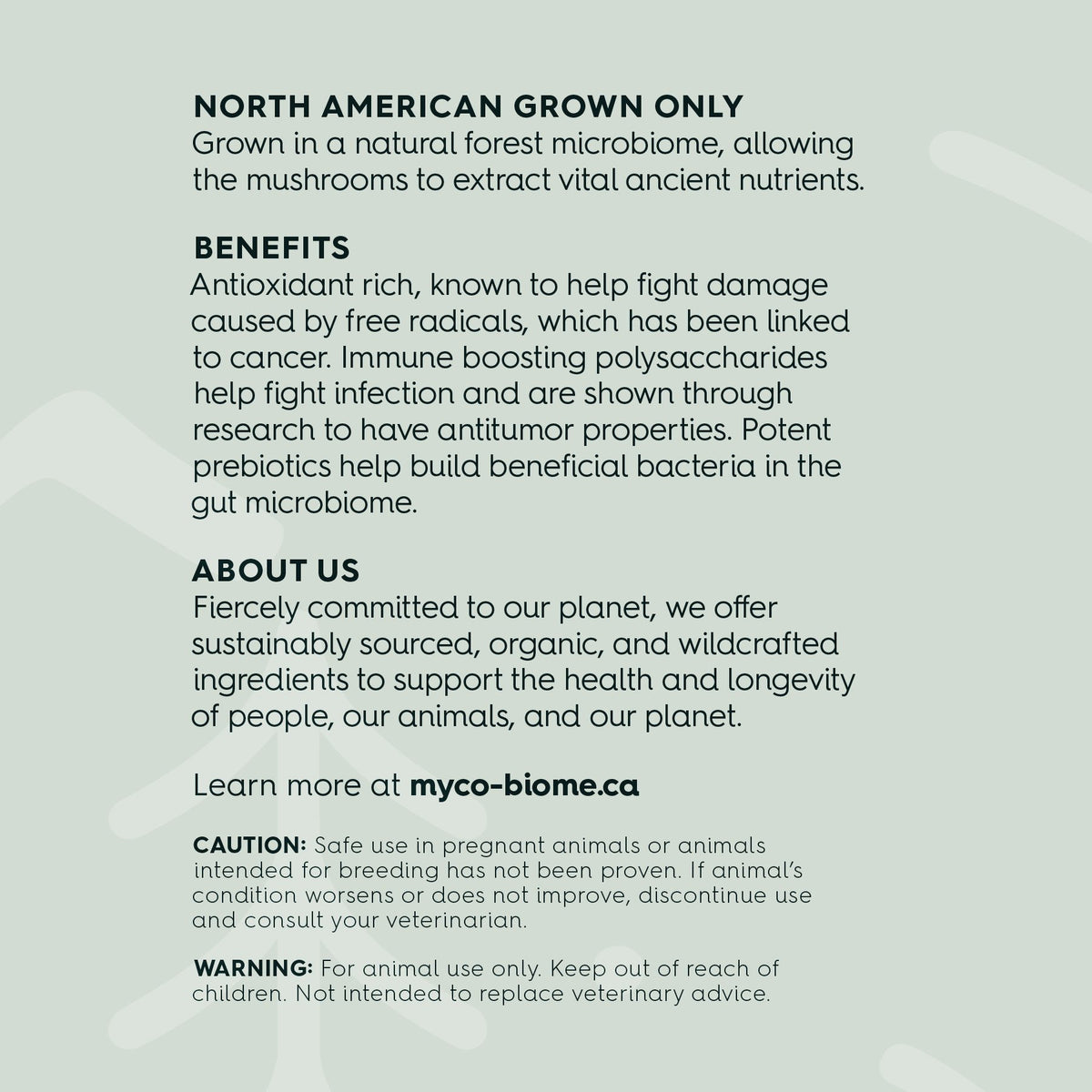 Turkey Tail Mushrooms - Liquid Double Extract