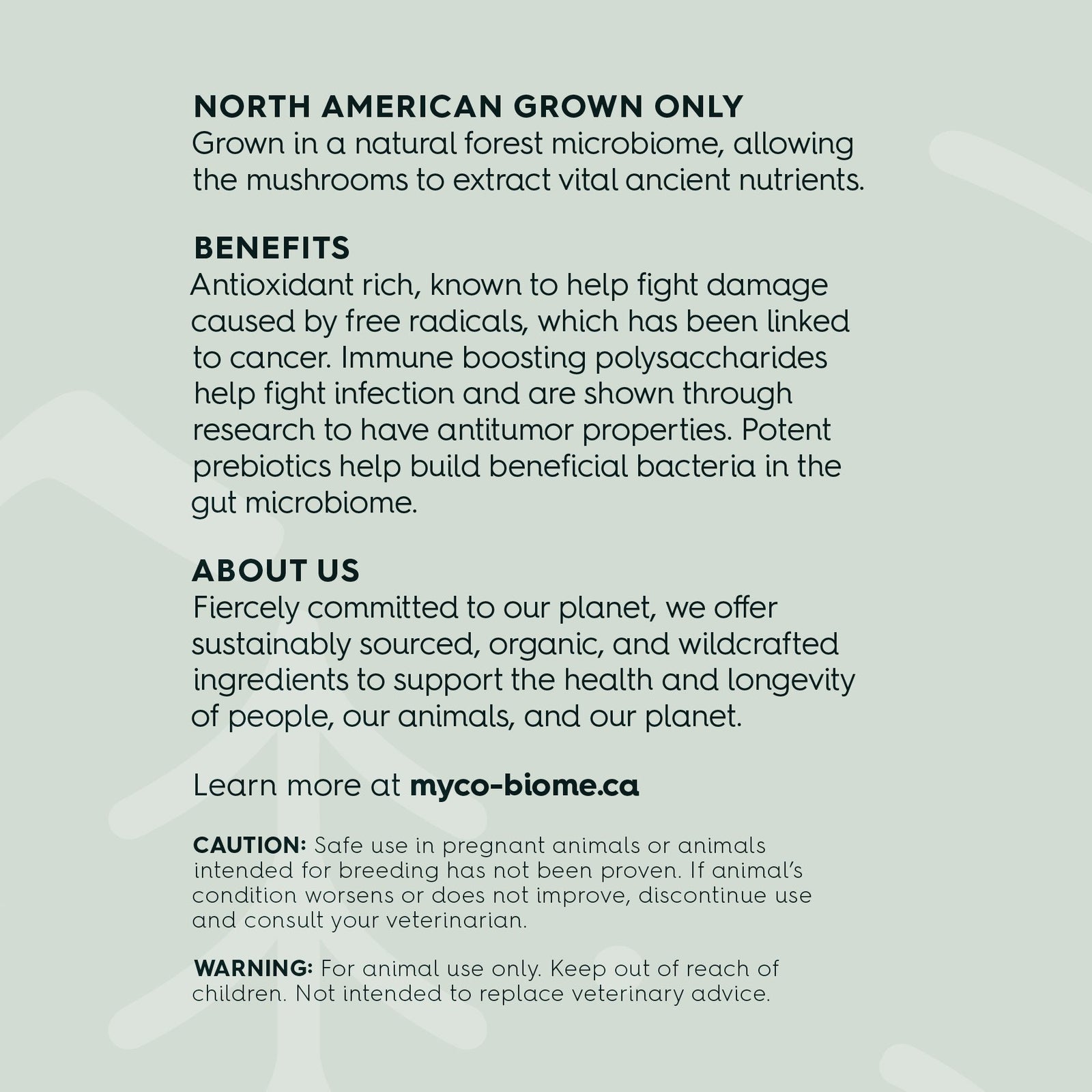 Turkey Tail Mushrooms - Liquid Double Extract