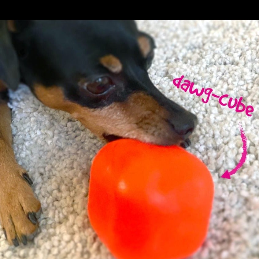 Dawg-Cube XL