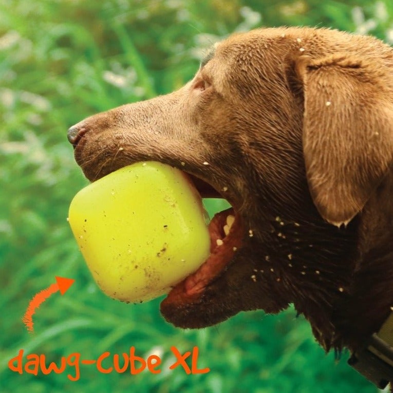 Dawg-Cube XL