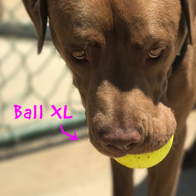 Indestructible Ball XL