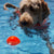Indestructible Ball XL