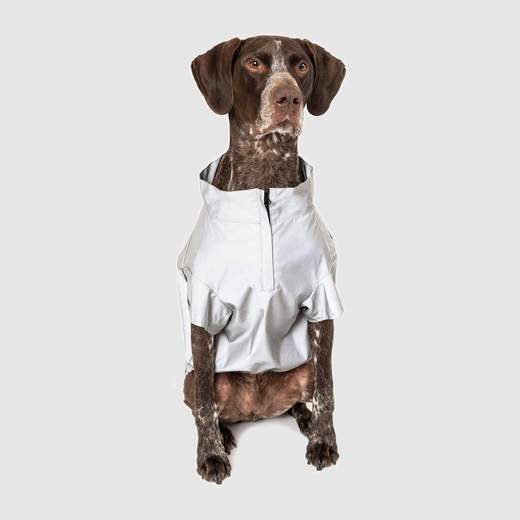 Dog reflective coat on sale