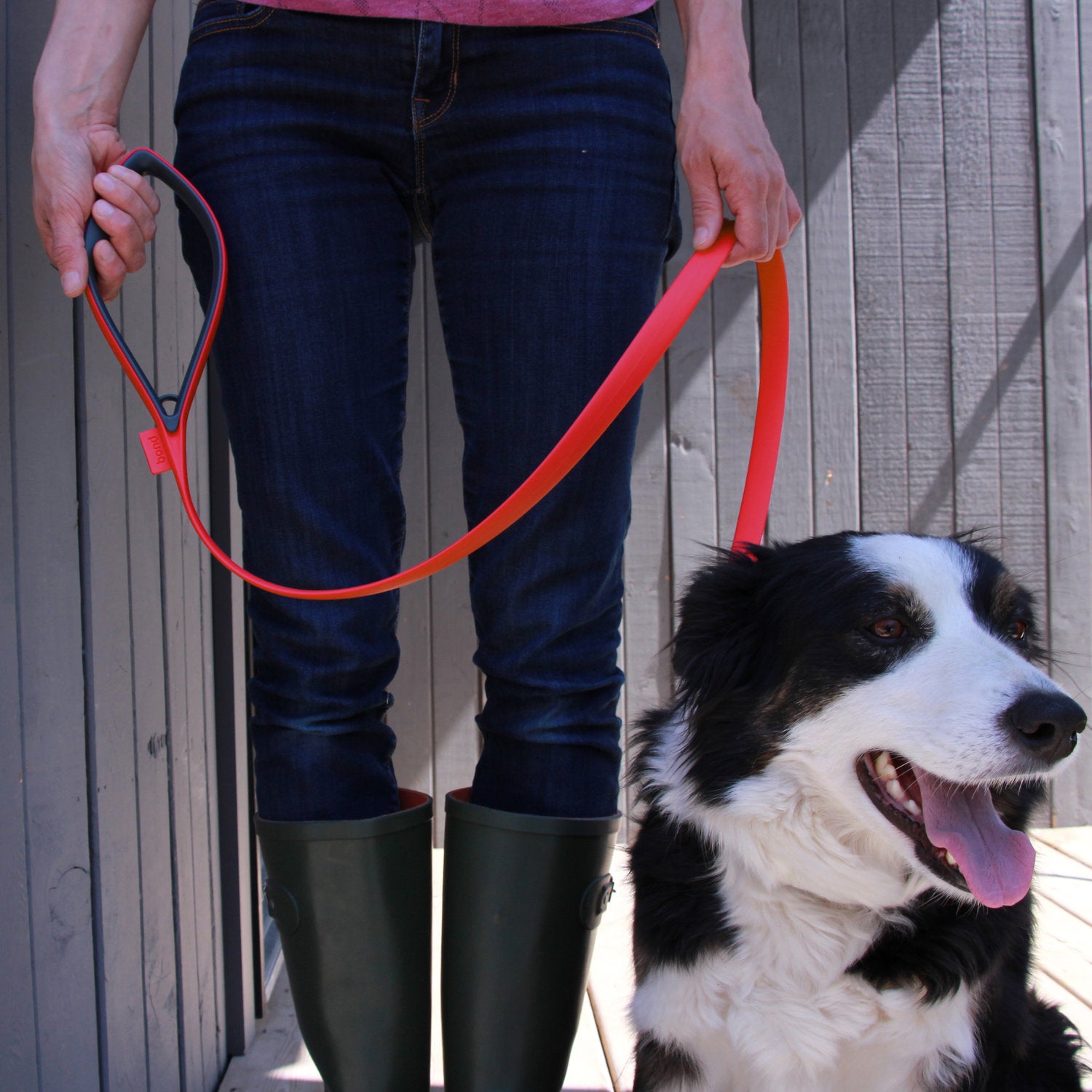 Bond and co dog leash outlet