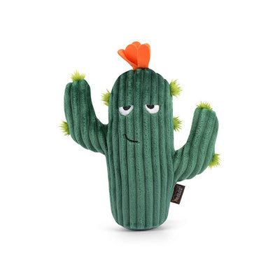 Prickly Pup Cactus