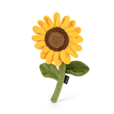 Sassy Sunflower