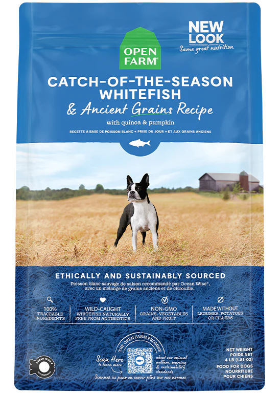 Catch-of-the-Season Whitefish & Ancient Grains Dry Dog Food