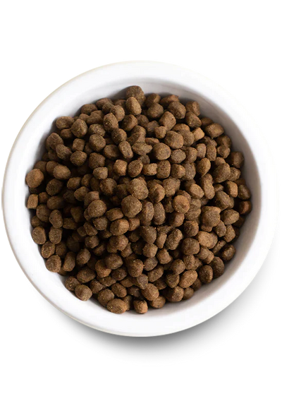 New Zealand Venison Grain-Free Dry Dog Food