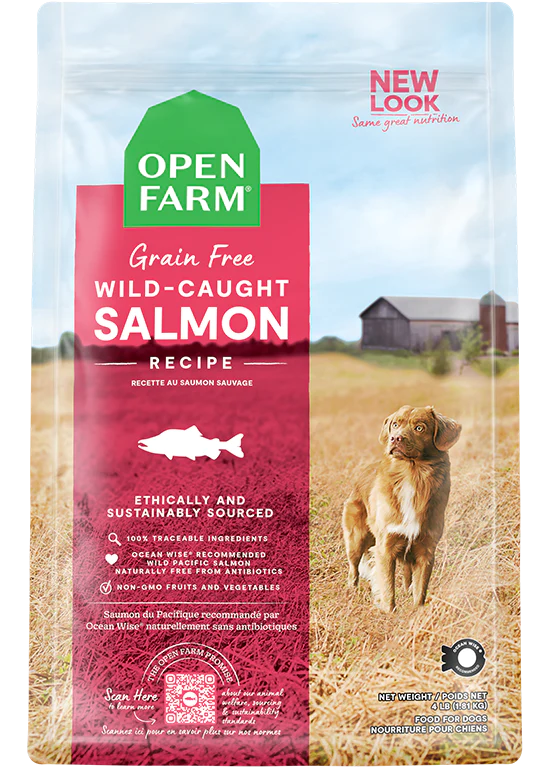Wild-Caught Salmon Grain-Free Dry Dog Food
