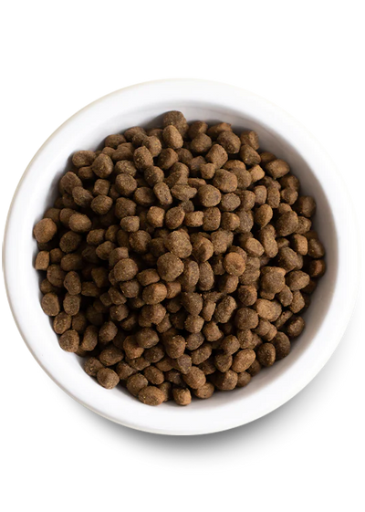 Catch-of-the-Season Whitefish & Ancient Grains Dry Dog Food