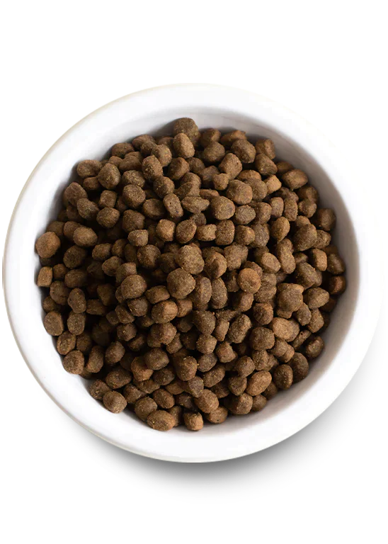 Homestead Turkey & Chicken Grain-Free Dry Dog Food
