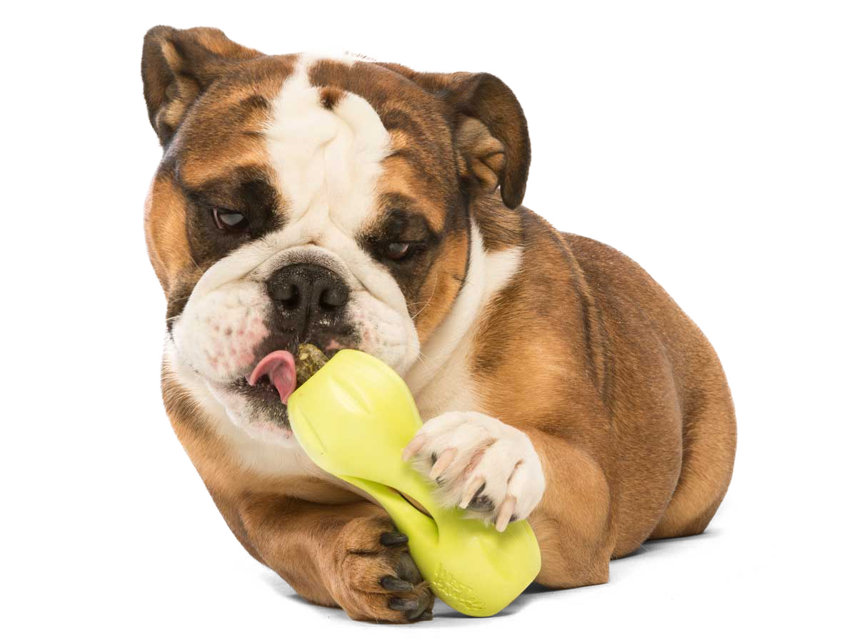 West Paw Qwizl Dog Toy Granny Smith Green Small