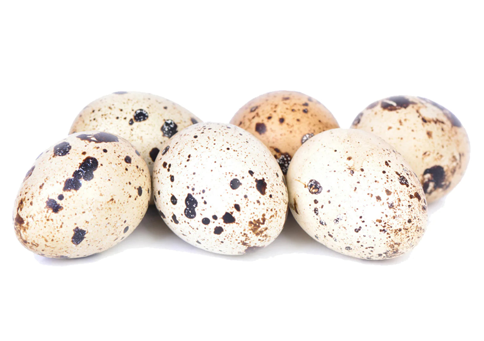 Quail Eggs - 18pk