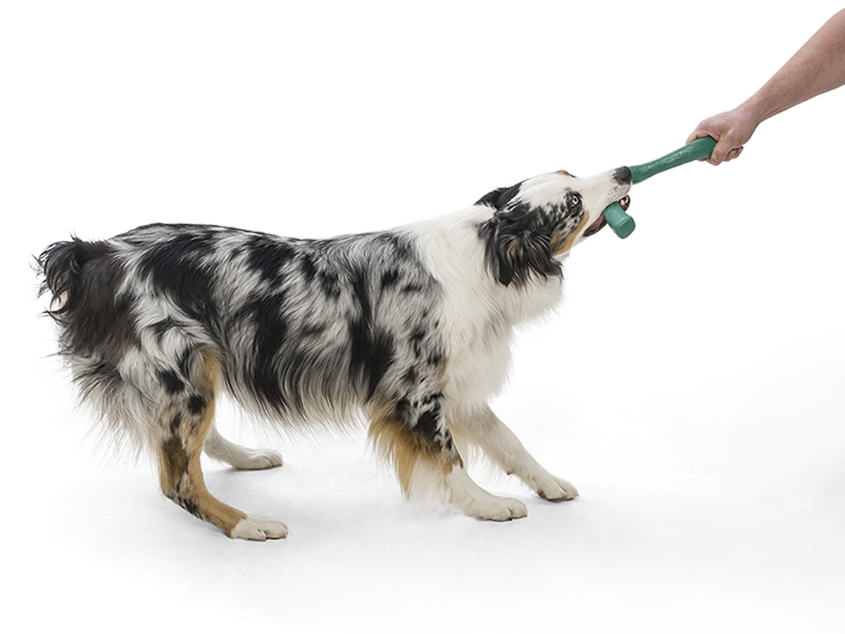 Snorkl Seaflex Floating Dog Toy