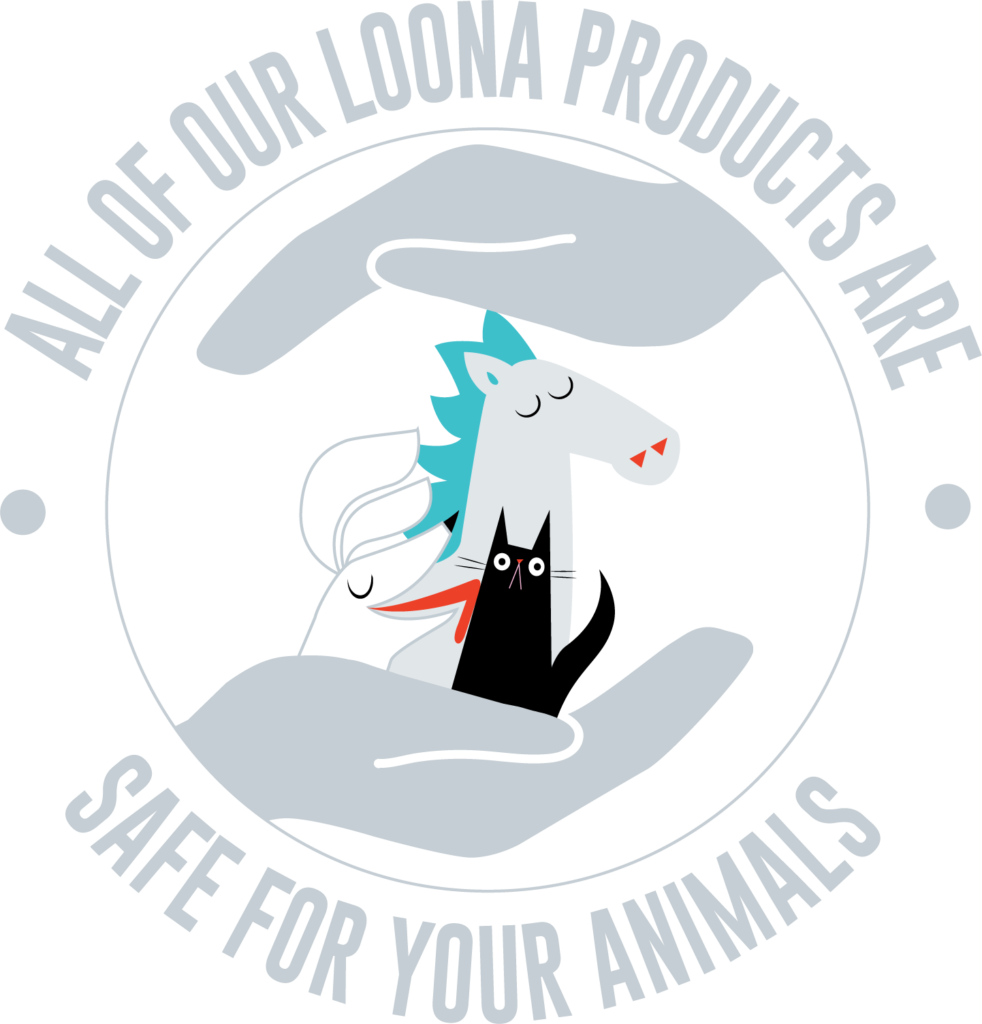 STER-SAN PV RTU Disinfectant - 1 Litre (Ready to Use)