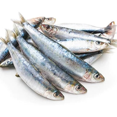 Sardines - 1lb Bag