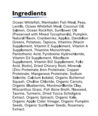 Wild Ocean Grain-Free RawMix for Cats