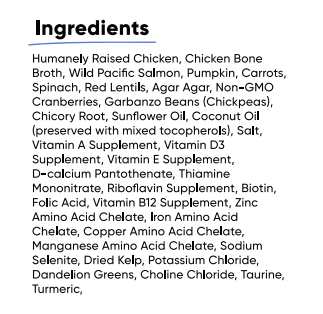 Chicken & Salmon Rustic Cat Blend *FINAL SALE*